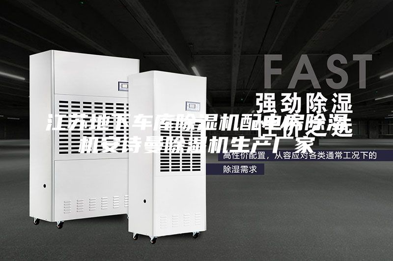江蘇地下車(chē)庫除濕機配電房除濕機安詩(shī)曼除濕機生產(chǎn)廠(chǎng)家