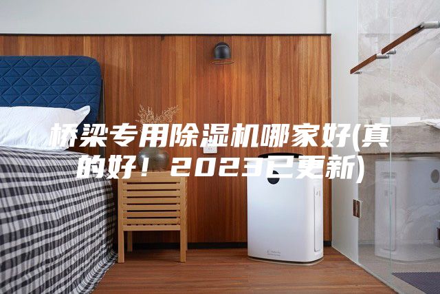 橋梁專(zhuān)用除濕機哪家好(真的好！2023已更新)