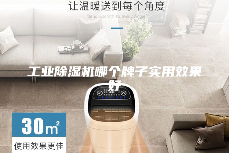 工業(yè)除濕機哪個(gè)牌子實(shí)用效果好
