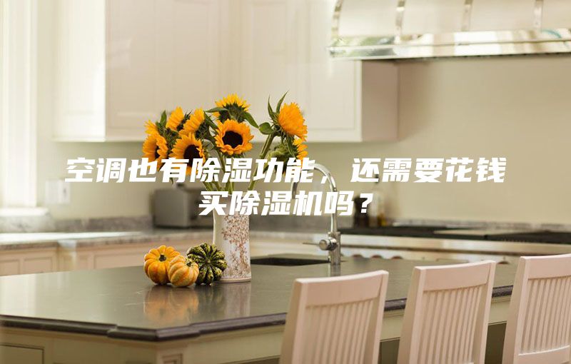 空調也有除濕功能，還需要花錢(qián)買(mǎi)除濕機嗎？