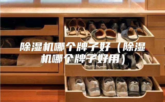 除濕機哪個(gè)牌子好（除濕機哪個(gè)牌子好用）