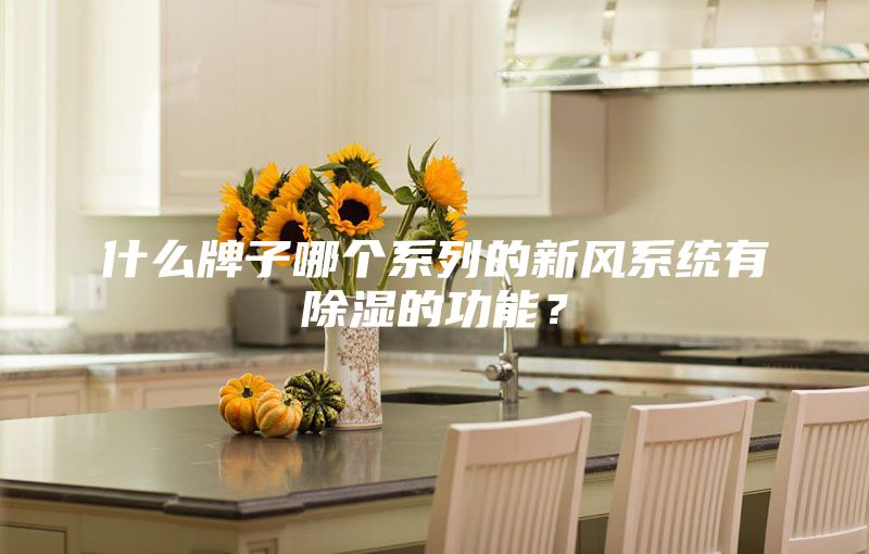 什么牌子哪個(gè)系列的新風(fēng)系統有除濕的功能？