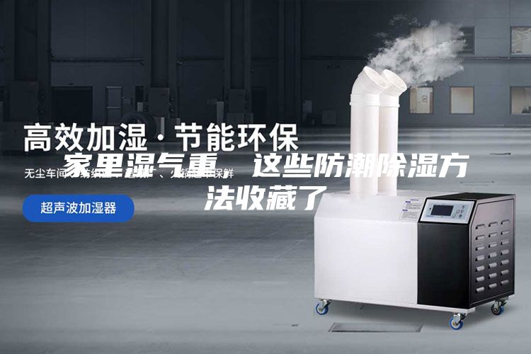 家里濕氣重，這些防潮除濕方法收藏了