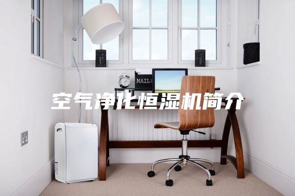 空氣凈化恒濕機簡(jiǎn)介