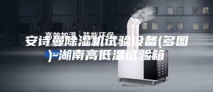 安詩(shī)曼除濕機試驗設備(多圖)-湖南高低溫試驗箱