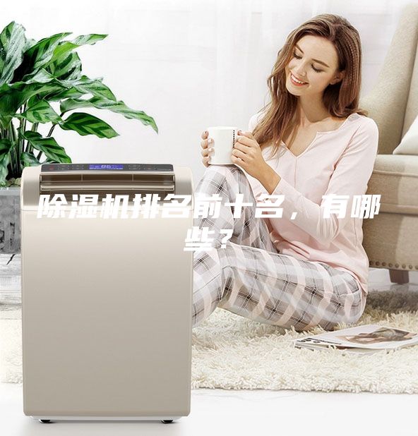 除濕機排名前十名，有哪些？