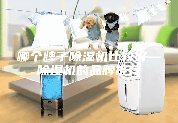 哪個(gè)牌子除濕機比較好—除濕機的品牌推薦
