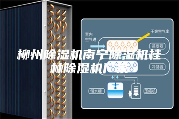 柳州除濕機南寧除濕機桂林除濕機廠(chǎng)家