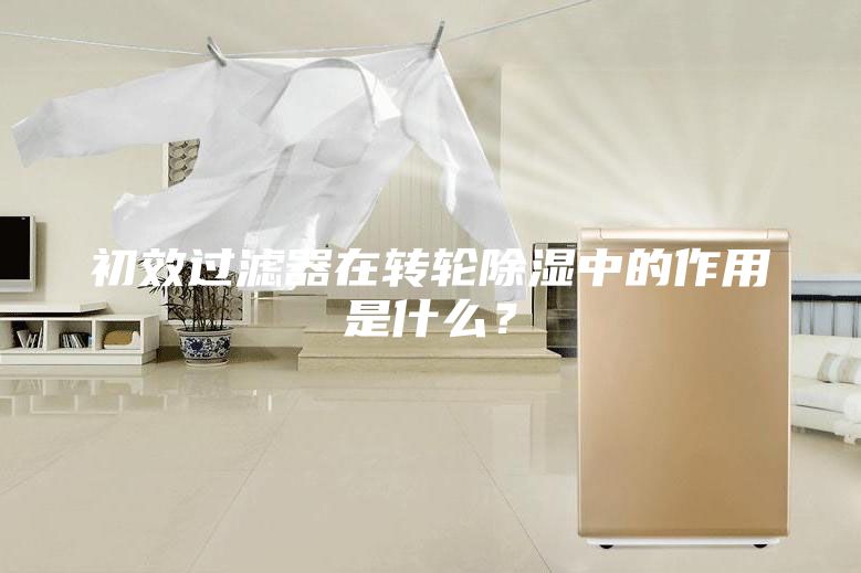 初效過(guò)濾器在轉輪除濕中的作用是什么？