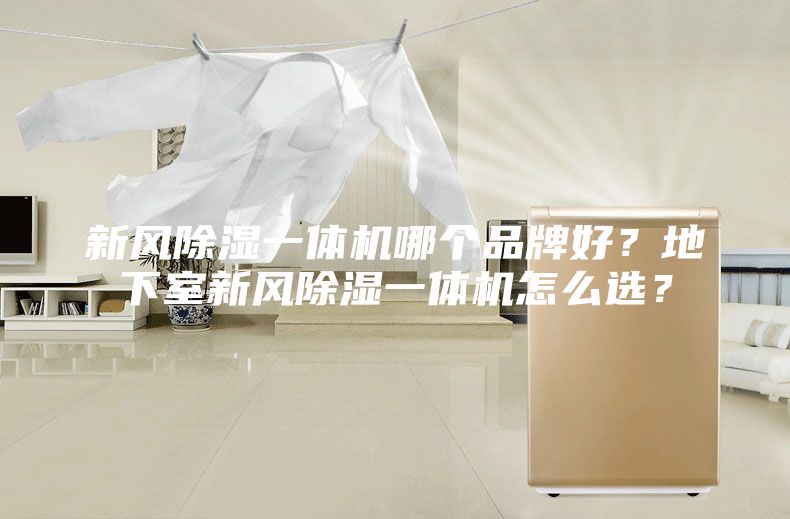 新風(fēng)除濕一體機哪個(gè)品牌好？地下室新風(fēng)除濕一體機怎么選？