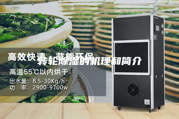 轉輪除濕的機理和簡(jiǎn)介