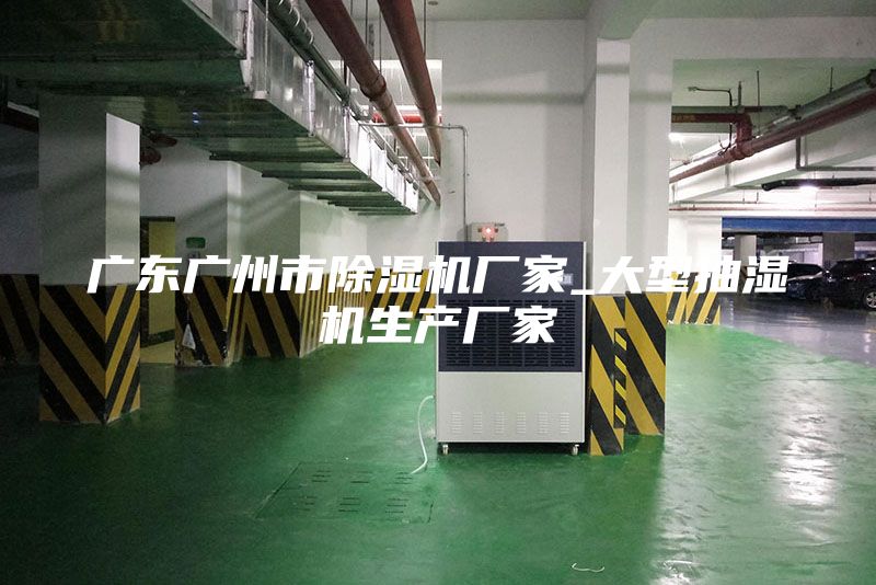 廣東廣州市除濕機廠(chǎng)家_大型抽濕機生產(chǎn)廠(chǎng)家