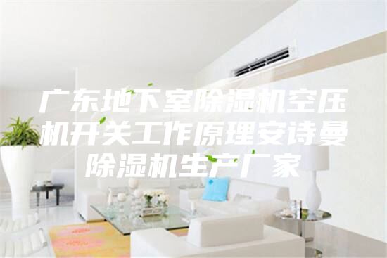 廣東地下室除濕機空壓機開(kāi)關(guān)工作原理安詩(shī)曼除濕機生產(chǎn)廠(chǎng)家