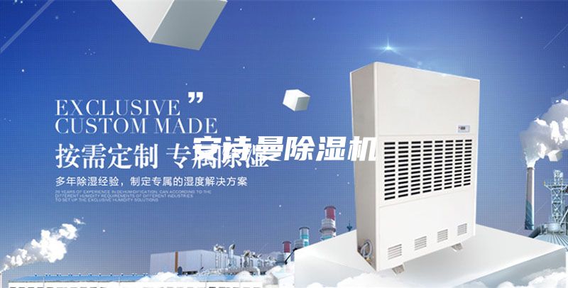 安詩(shī)曼除濕機