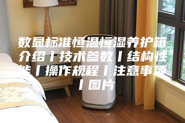 數顯標準恒溫恒濕養護箱介紹丨技術(shù)參數丨結構性能丨操作規程丨注意事項丨圖片