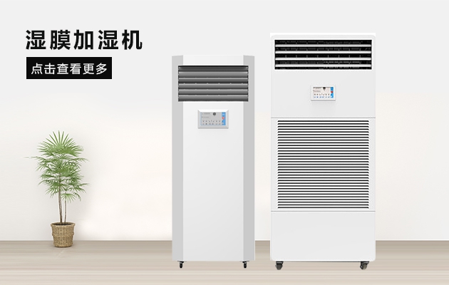 梅雨季，各種東西發(fā)霉了，該怎么辦？如何除霉除霉味？