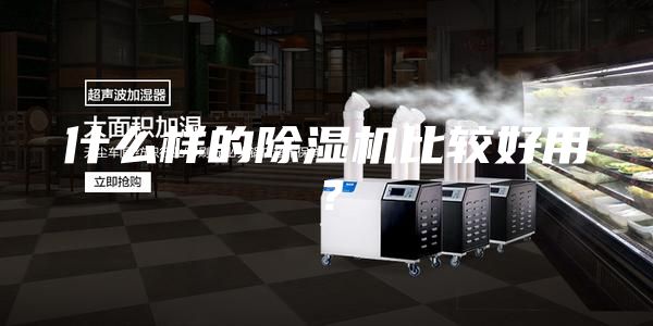 什么樣的除濕機比較好用？