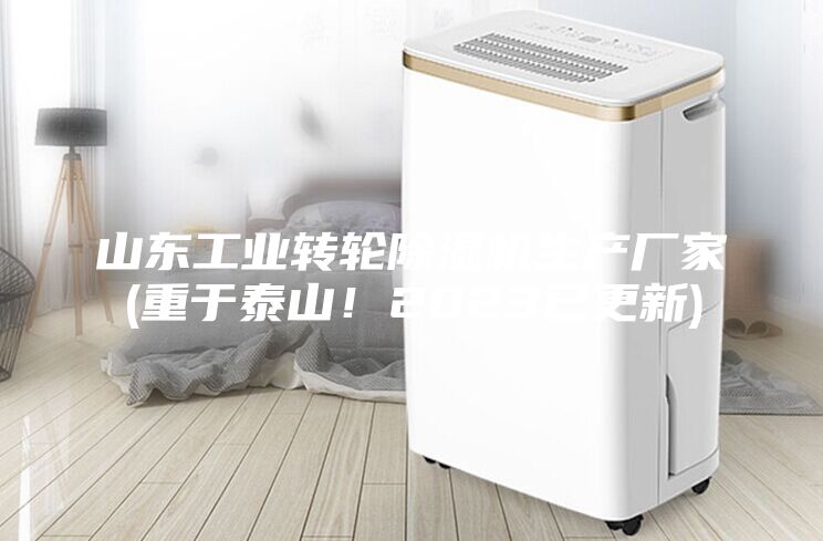 山東工業(yè)轉輪除濕機生產(chǎn)廠(chǎng)家(重于泰山！2023已更新)