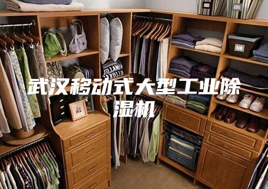 武漢移動(dòng)式大型工業(yè)除濕機