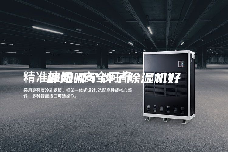 邵陽(yáng)哪個(gè)牌子除濕機好