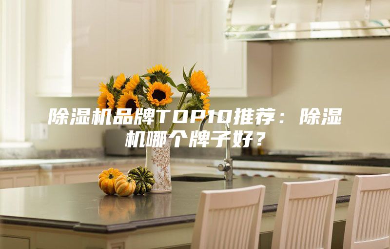 除濕機品牌TOP10推薦：除濕機哪個(gè)牌子好？