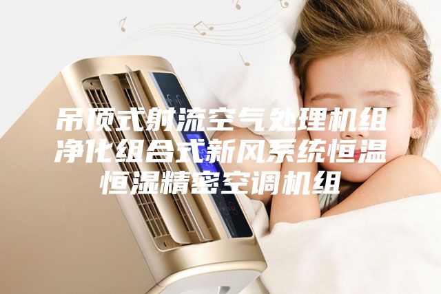 吊頂式射流空氣處理機組凈化組合式新風(fēng)系統恒溫恒濕精密空調機組
