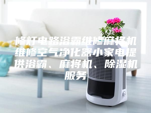修燈電路浴霸維修麻將機維修空氣凈化器小家電提供浴霸、麻將機、除濕機服務(wù)