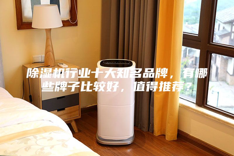 除濕機行業(yè)十大知名品牌，有哪些牌子比較好，值得推薦？