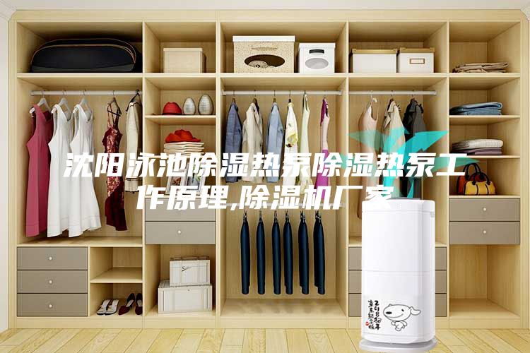 沈陽(yáng)泳池除濕熱泵除濕熱泵工作原理,除濕機廠(chǎng)家