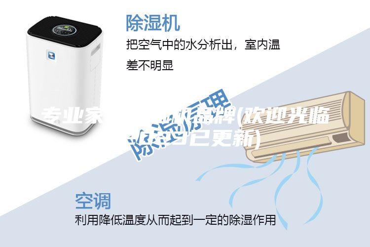 專(zhuān)業(yè)家用除濕機品牌(歡迎光臨-2023已更新)