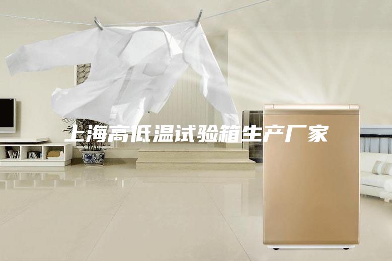 上海高低溫試驗箱生產(chǎn)廠(chǎng)家