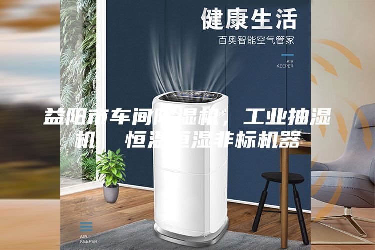 益陽(yáng)市車(chē)間除濕機，工業(yè)抽濕機  恒溫恒濕非標機器