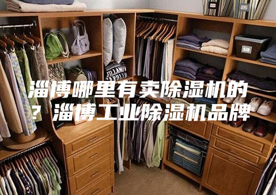 淄博哪里有賣(mài)除濕機的？淄博工業(yè)除濕機品牌
