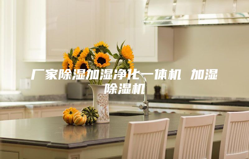 廠(chǎng)家除濕加濕凈化一體機 加濕除濕機