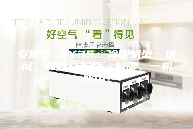 安詩(shī)曼 KY35：冷暖機型，送風(fēng)，除濕，制冷，制暖，一機四用！