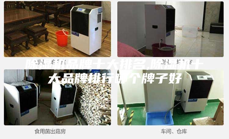 除濕機品牌十大排名,除濕機十大品牌排行哪個(gè)牌子好