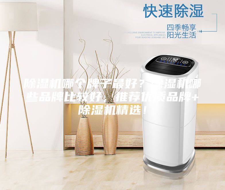 除濕機哪個(gè)牌子最好？除濕機哪些品牌比較好，推薦優(yōu)質(zhì)品牌+除濕機精選！