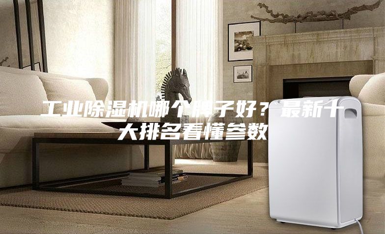 工業(yè)除濕機哪個(gè)牌子好？最新十大排名看懂參數