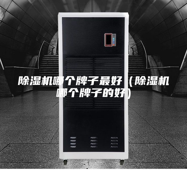 除濕機哪個(gè)牌子最好（除濕機哪個(gè)牌子的好）