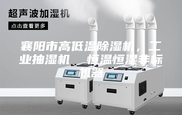 襄陽(yáng)市高低溫除濕機，工業(yè)抽濕機  恒溫恒濕非標機器