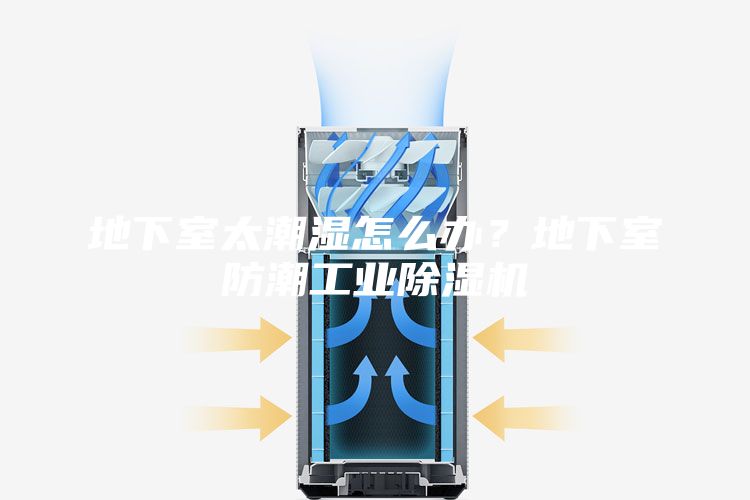 地下室太潮濕怎么辦？地下室防潮工業(yè)除濕機