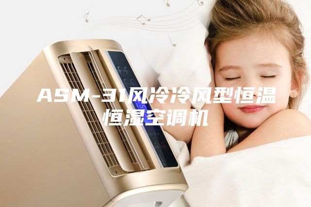 ASM-31風(fēng)冷冷風(fēng)型恒溫恒濕空調機
