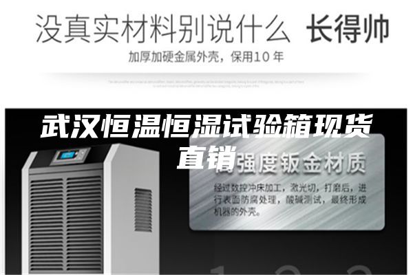 武漢恒溫恒濕試驗箱現貨直銷(xiāo)