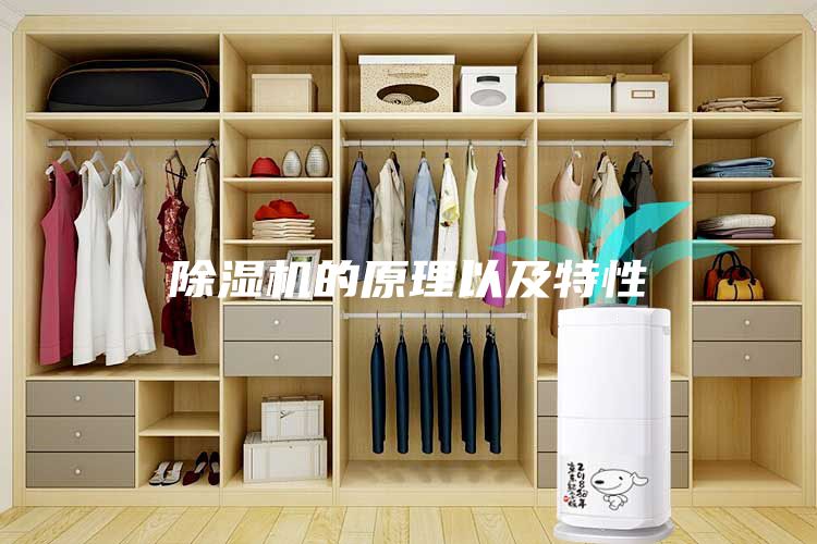除濕機的原理以及特性