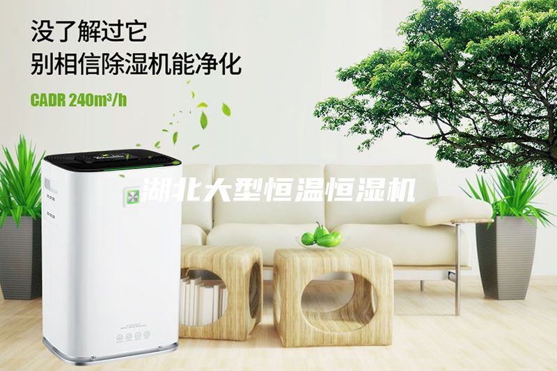 湖北大型恒溫恒濕機