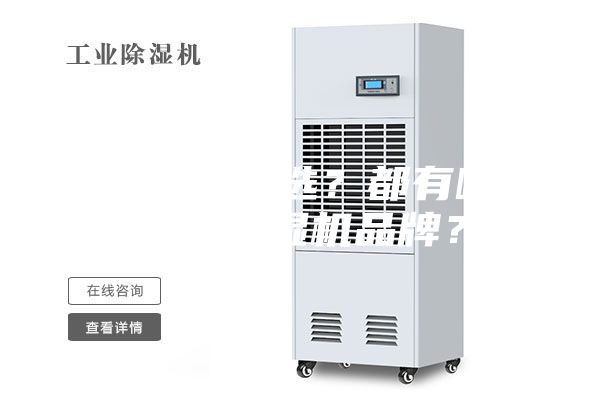 除濕機怎么選？都有哪些好的除濕機品牌？