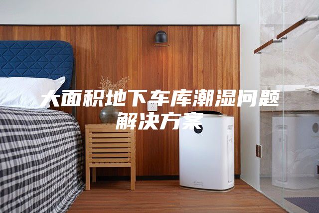 大面積地下車(chē)庫潮濕問(wèn)題解決方案