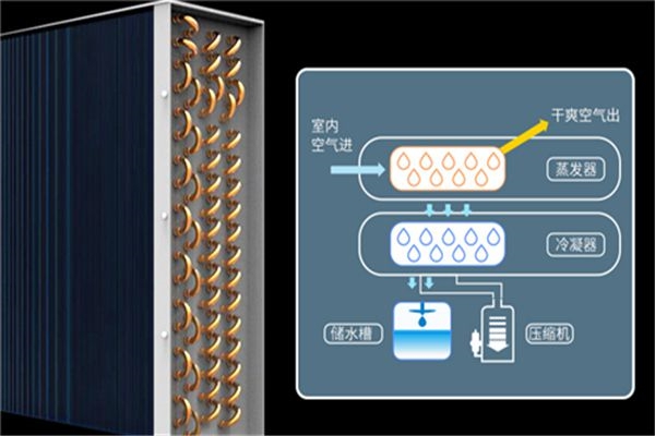 吊頂除濕機跟吊裝新風(fēng)除濕機的區別