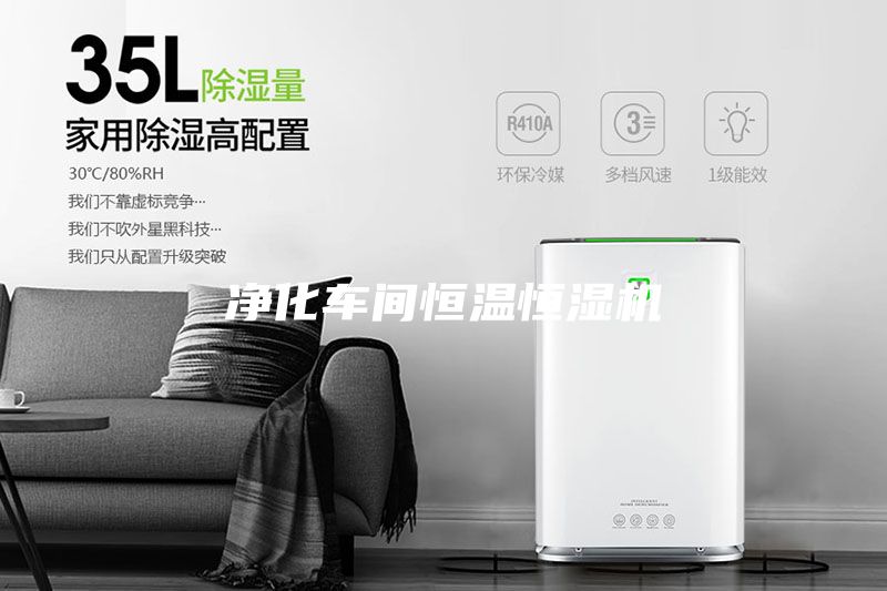 凈化車(chē)間恒溫恒濕機