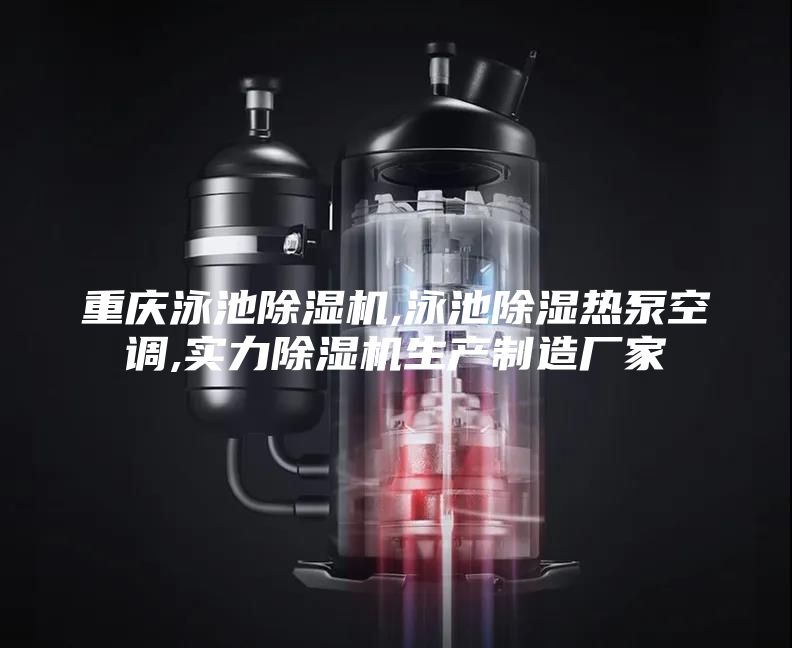 重慶泳池除濕機,泳池除濕熱泵空調,實(shí)力除濕機生產(chǎn)制造廠(chǎng)家